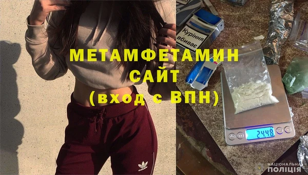 прущие грибы Дмитриев