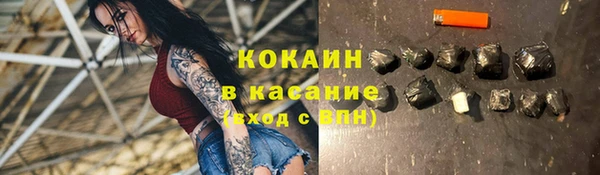 прущие грибы Дмитриев
