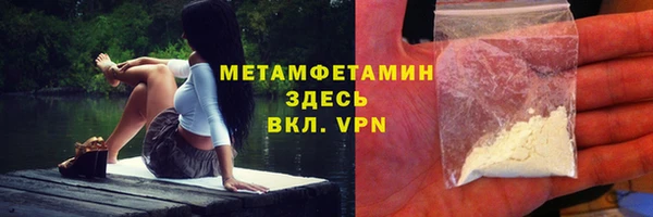 прущие грибы Дмитриев