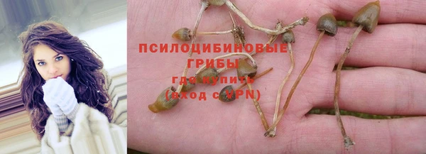 не бодяженный Дмитров