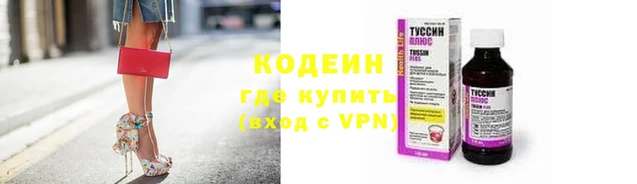прущие грибы Дмитриев