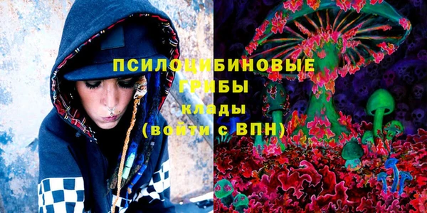 прущие грибы Дмитриев