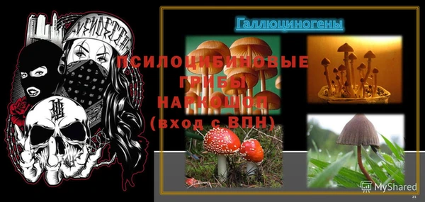 прущие грибы Дмитриев
