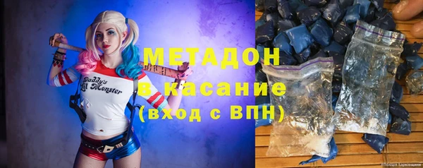 прущие грибы Дмитриев
