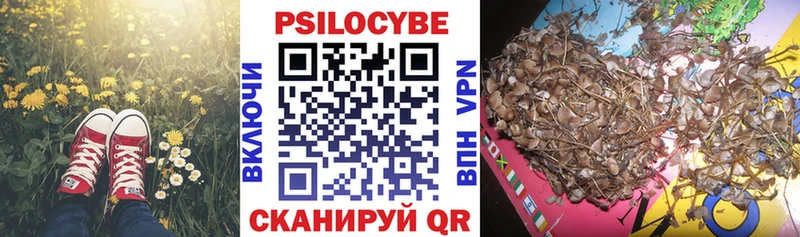 Псилоцибиновые грибы Cubensis  Купить закладки  Горячий Ключ 
